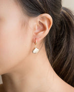 Cockle Shell Gold Hoops