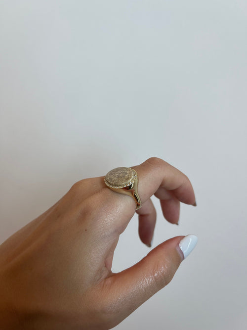 Coral Fossil Ring