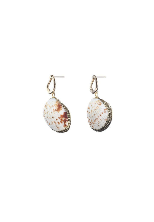 Maya Seashells Gold Studs - Antonia Y. Jewelry